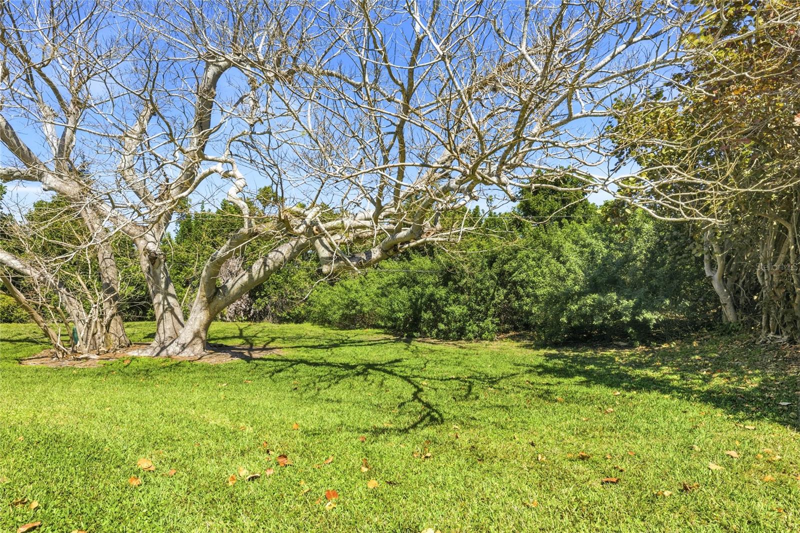 CAMBRIDGE VILLAGE WEST CONDO - Residential