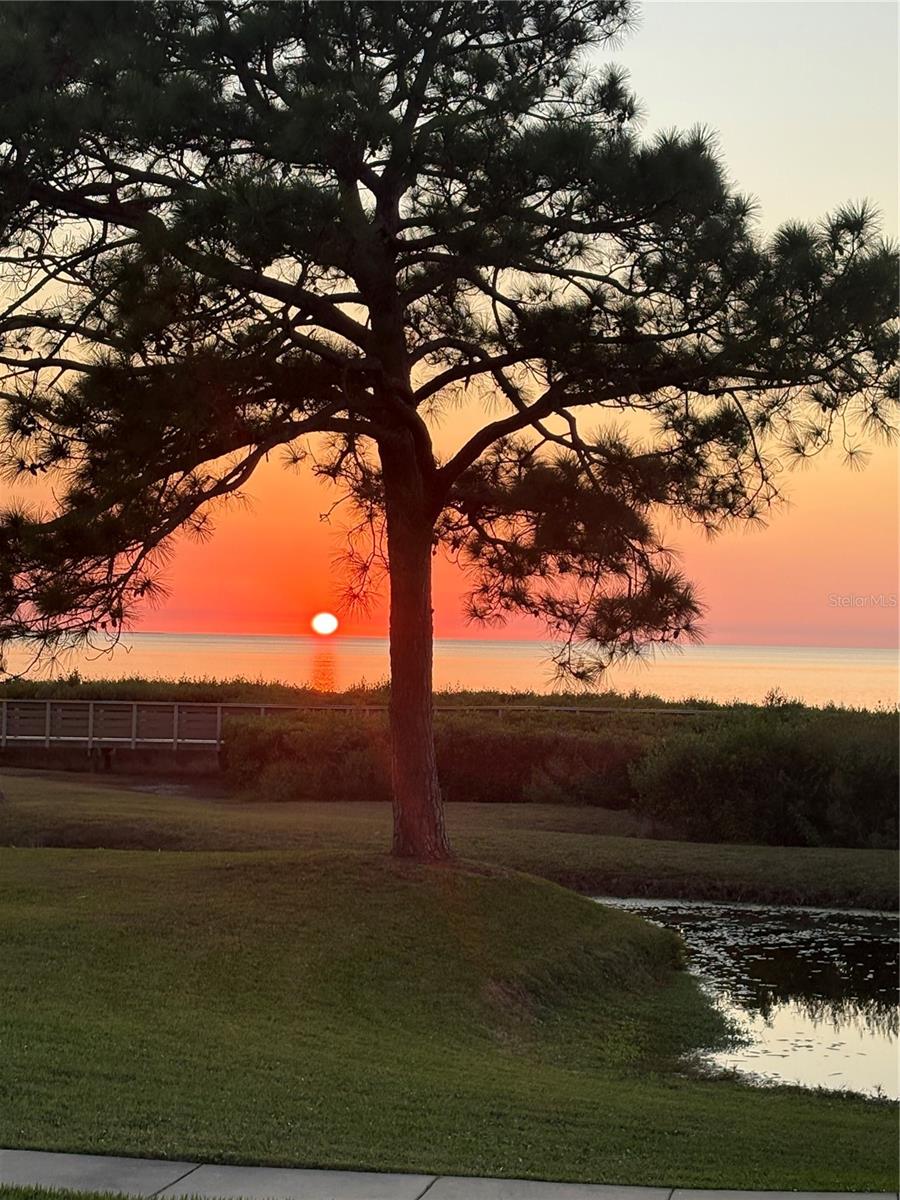 WINDRUSH BAY CONDO - Residential Lease