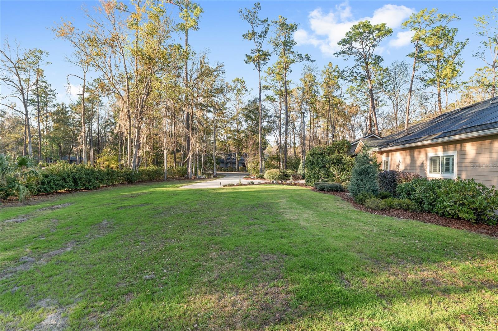 HAMMOCK THE - Residential