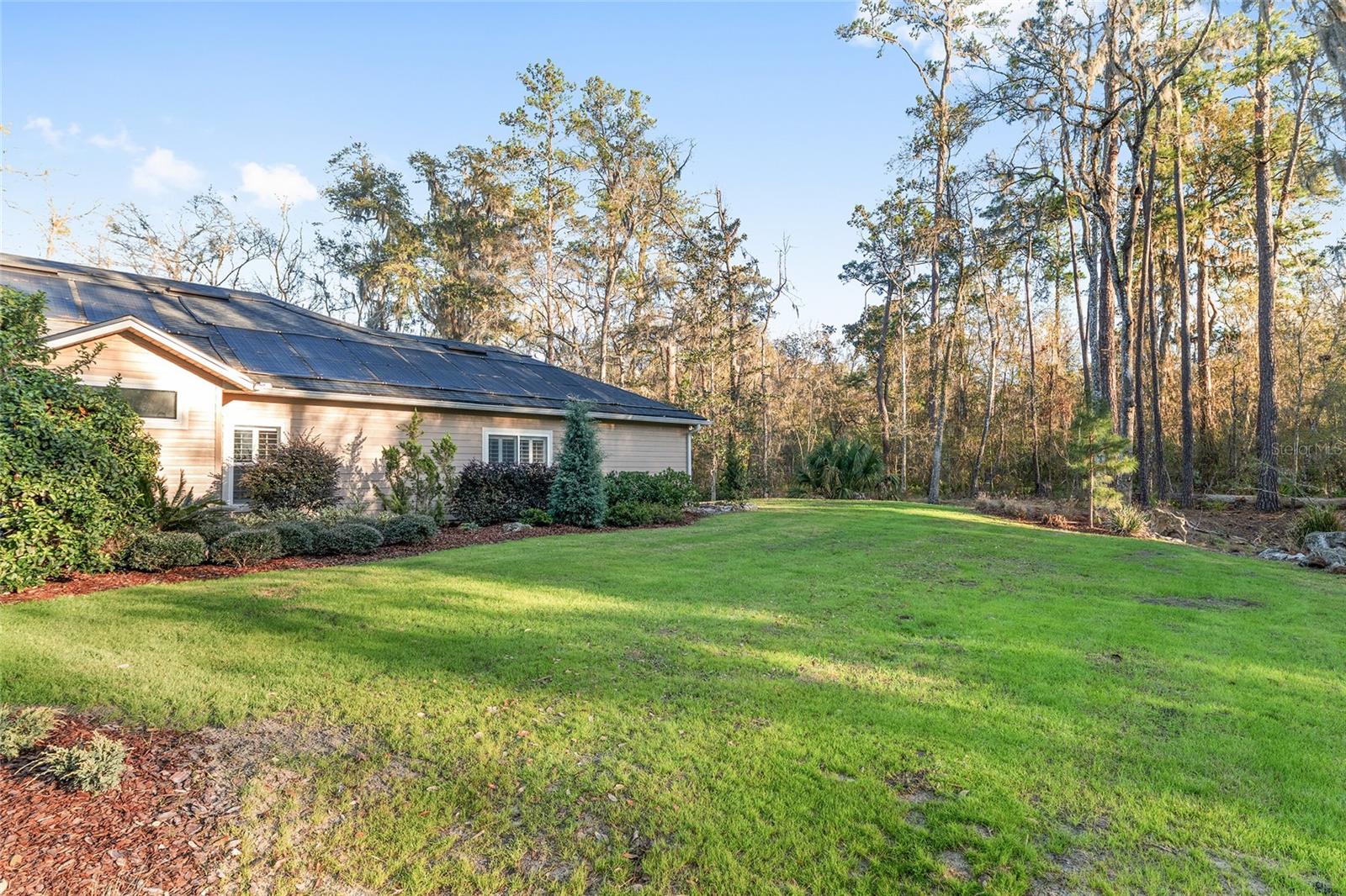 HAMMOCK THE - Residential