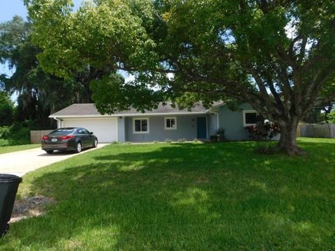 1709 UMBRELLA TREE DRIVE EDGEWATER FL 32132