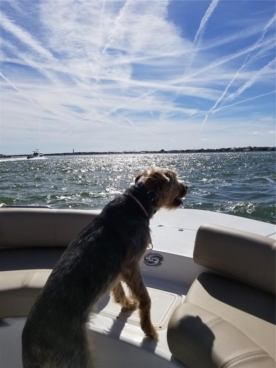 FLORIDA SHORES 01 - Residential