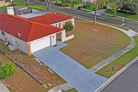 A home in DUNEDIN