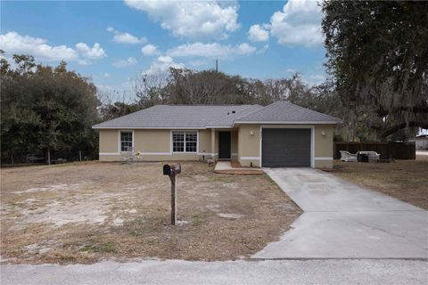 Photo of 973 Cr 541, Summerville, FL 33585 (MLS # G5108513)