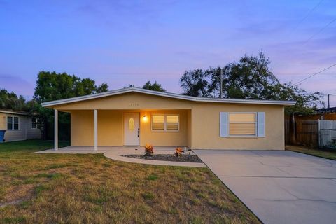 7710 BROOKSIDE LANE TAMPA FL 33615