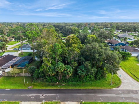 Photo of 2209 Tamarind Drive, Edgewater, FL 32141 (MLS # O6453446)