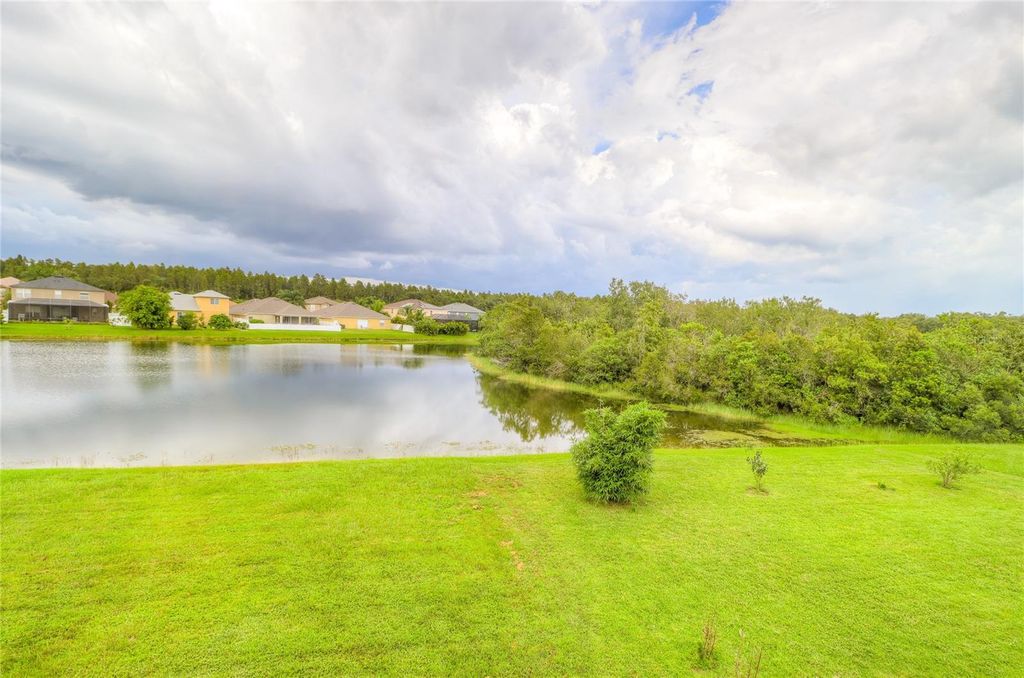 Photo of 18317 Cypress Haven Drive, Tampa, FL 33647 (MLS # TB8322131)