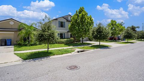 A home in WIMAUMA