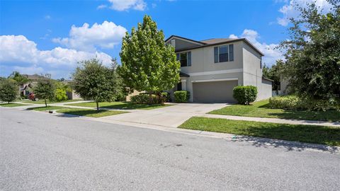 A home in WIMAUMA