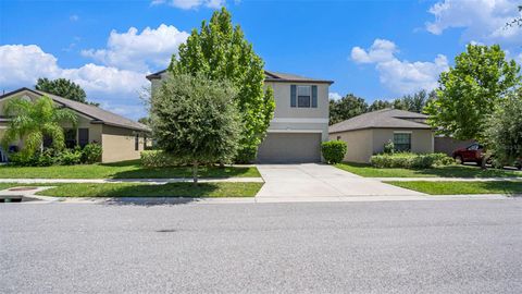 A home in WIMAUMA