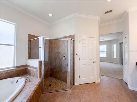 Tiny photo for 10408 Lago Louisa Court, Clermont, FL 34711 (MLS # O6406539)