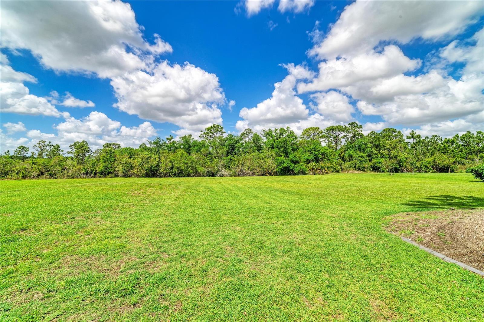 PRESERVE AT PANTHER RIDGE PH IV - Residential