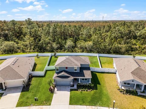 A home in KISSIMMEE