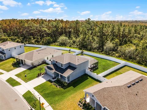 A home in KISSIMMEE