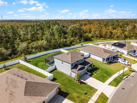 A home in KISSIMMEE