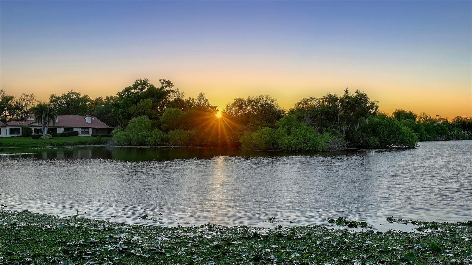 HAMMOCKS IV - Residential