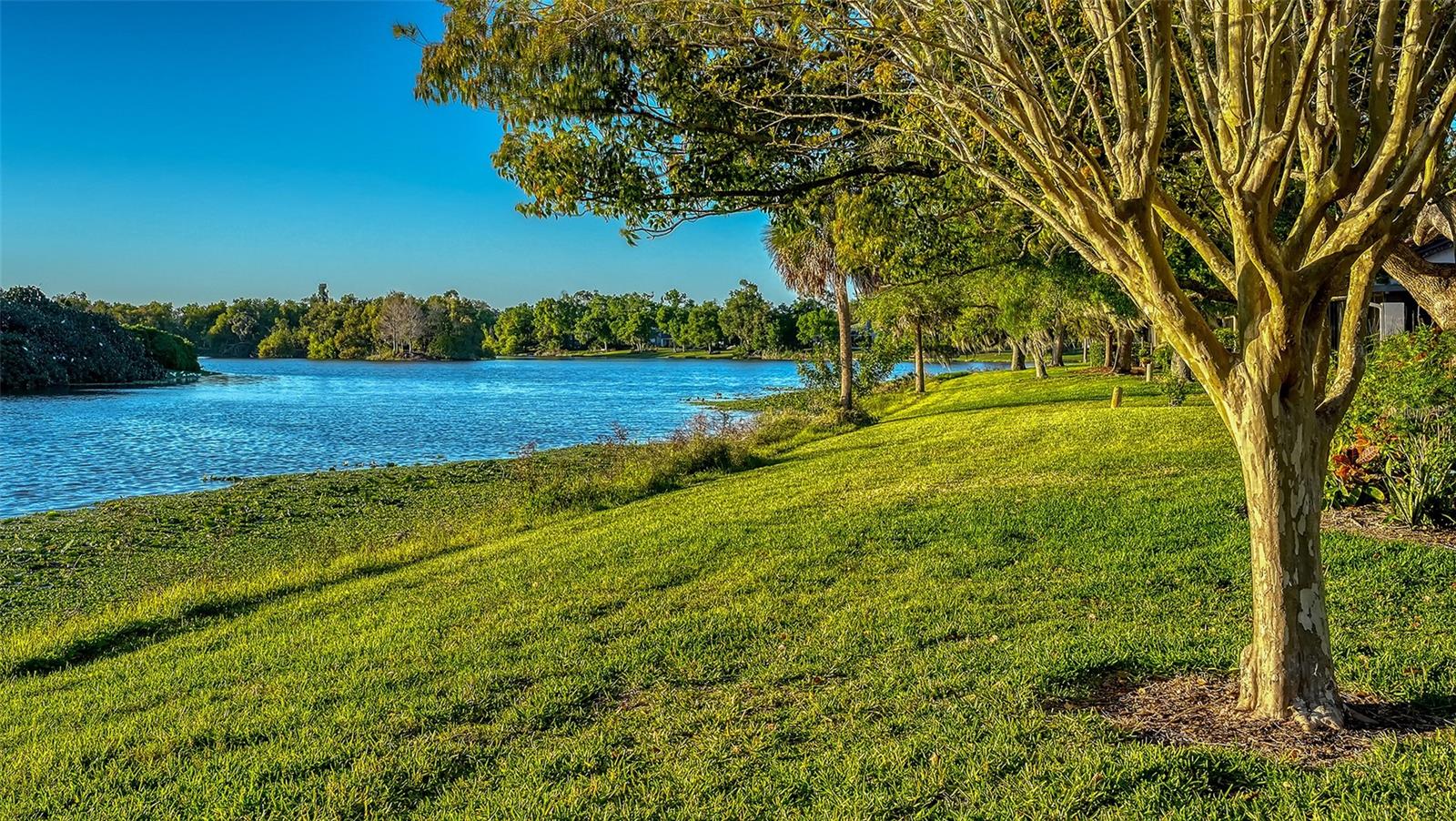 HAMMOCKS IV - Residential