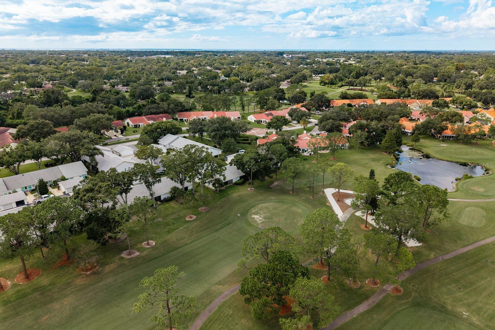GREENVIEW VILLAS CONDO I - Residential