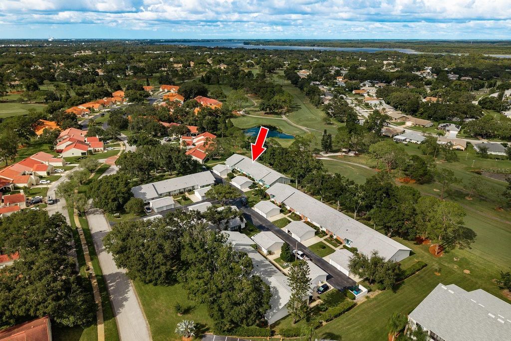 Photo of 1109 Tartan Drive #C, Palm Harbor, FL 34684 (MLS # TB8433661)