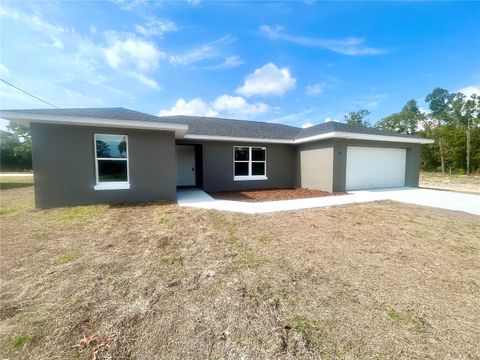 A home in OCKLAWAHA