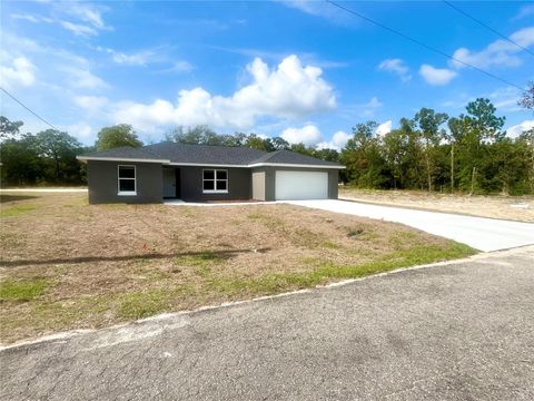 A home in OCKLAWAHA