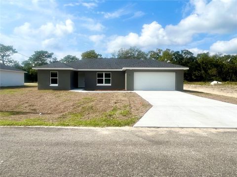 A home in OCKLAWAHA