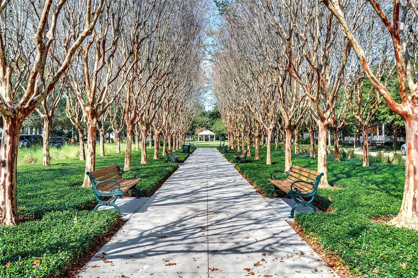 CELEBRATION SOUTH VILLAGE UNIT 3 - Residential