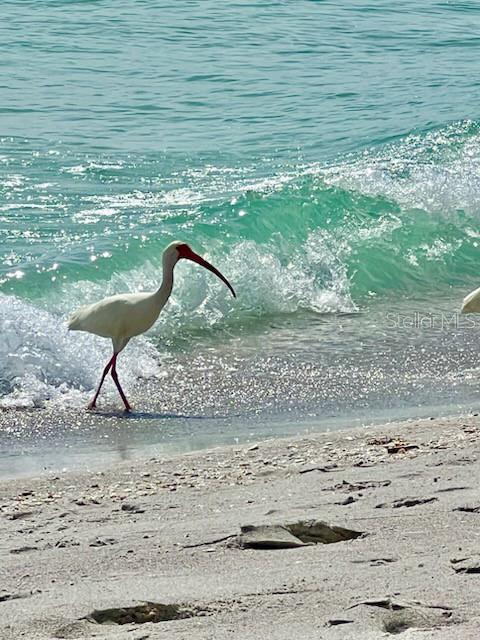 LONGBOAT HARBOUR - Residential