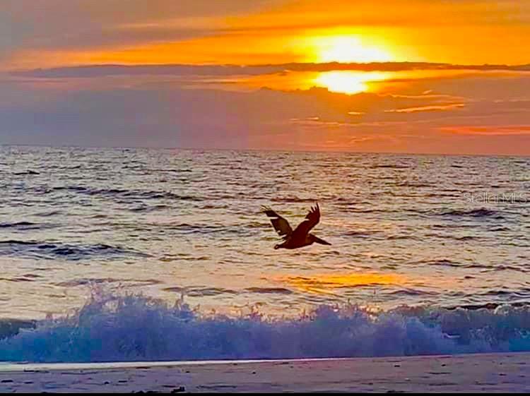 LONGBOAT HARBOUR - Residential