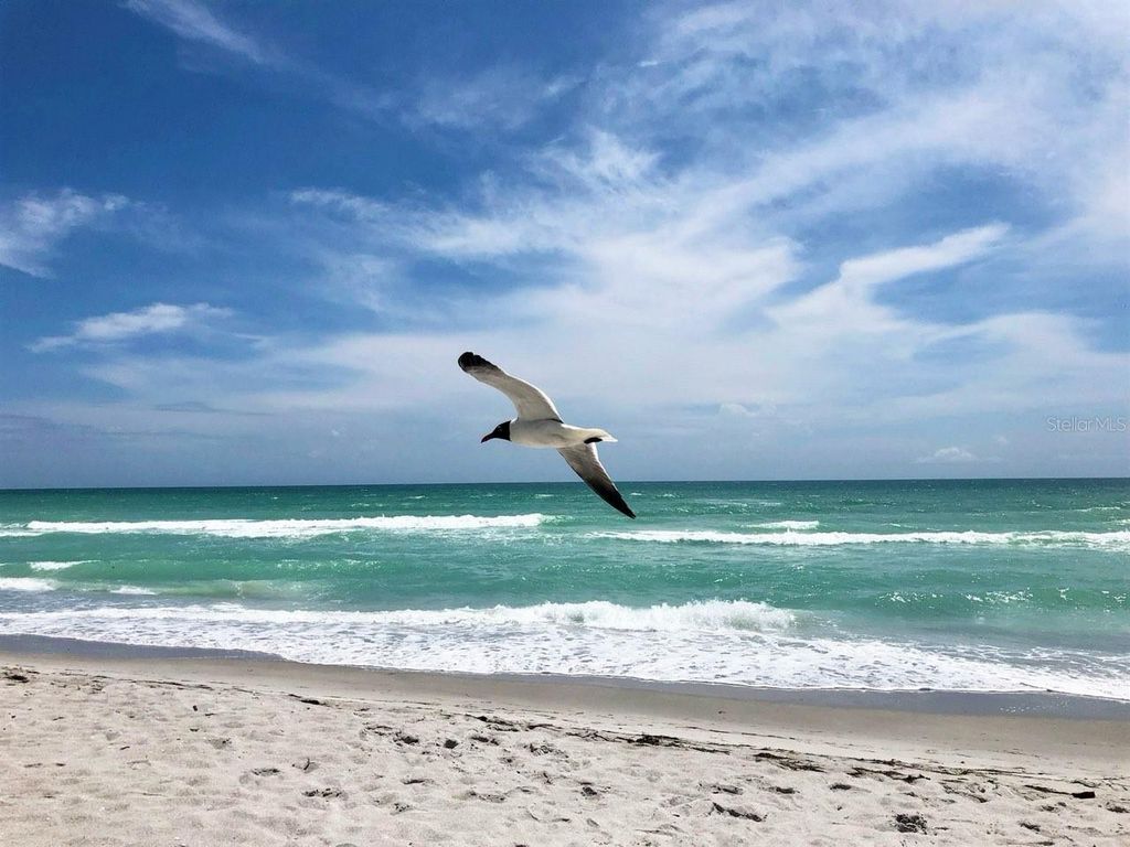 Photo of 4310 Falmouth Drive #102, Longboat Key, FL 34228 (MLS # A4679011)