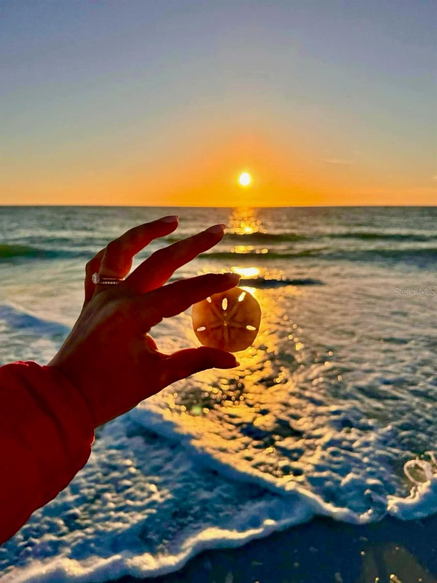 LONGBOAT HARBOUR - Residential