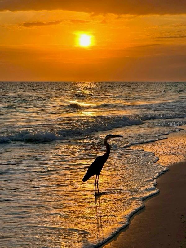 LONGBOAT HARBOUR - Residential