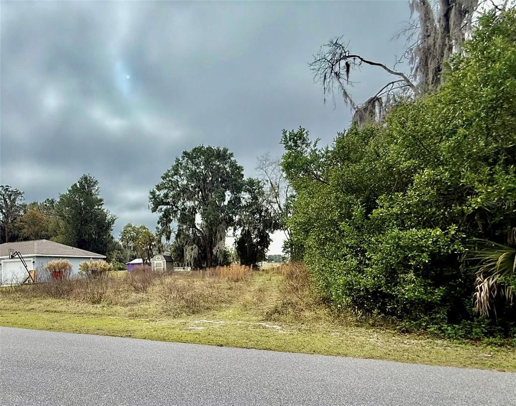 Photo of Tbd Cr 463, Lake Panasoffkee, FL 33538 (MLS # OM716373)