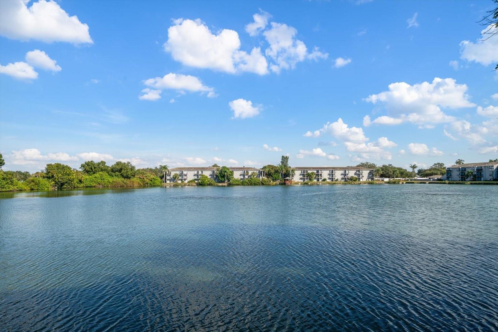 WATERS EDGE 2 CONDO - Residential