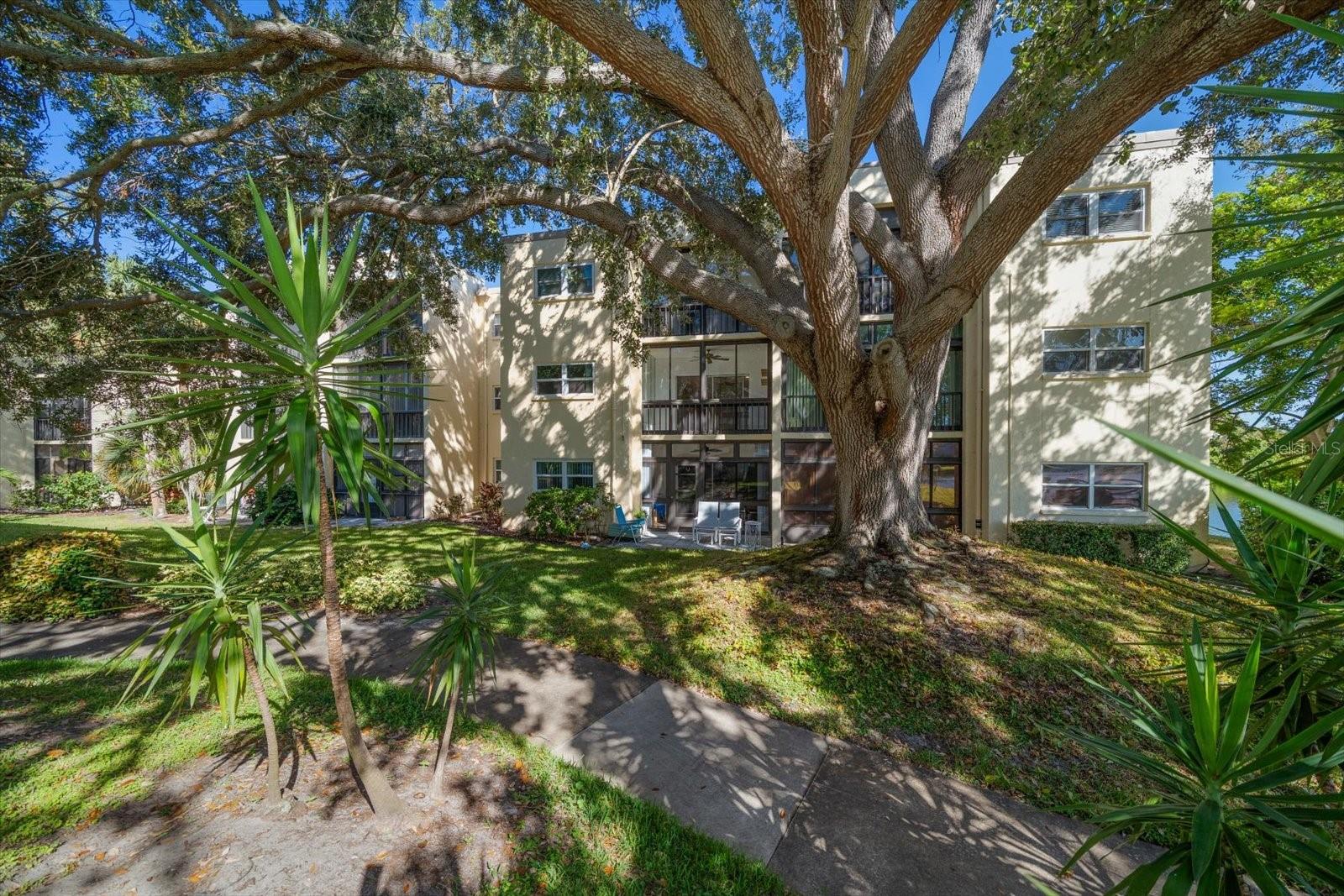 WATERS EDGE 2 CONDO - Residential