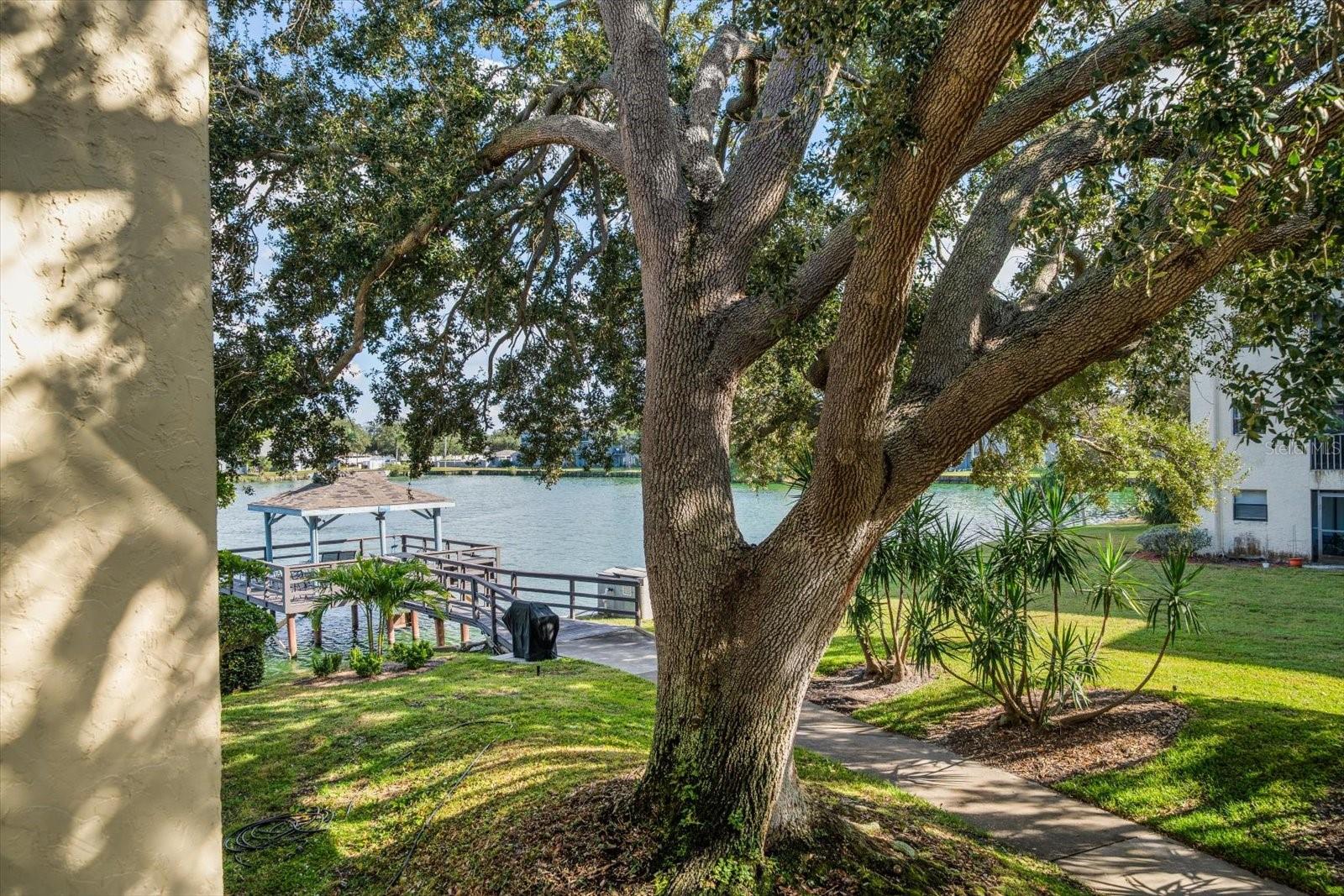 WATERS EDGE 2 CONDO - Residential