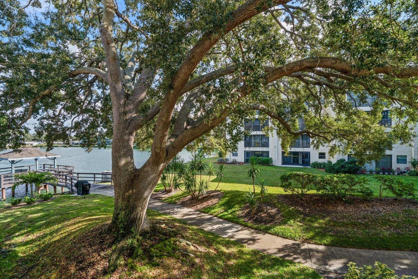 WATERS EDGE 2 CONDO - Residential