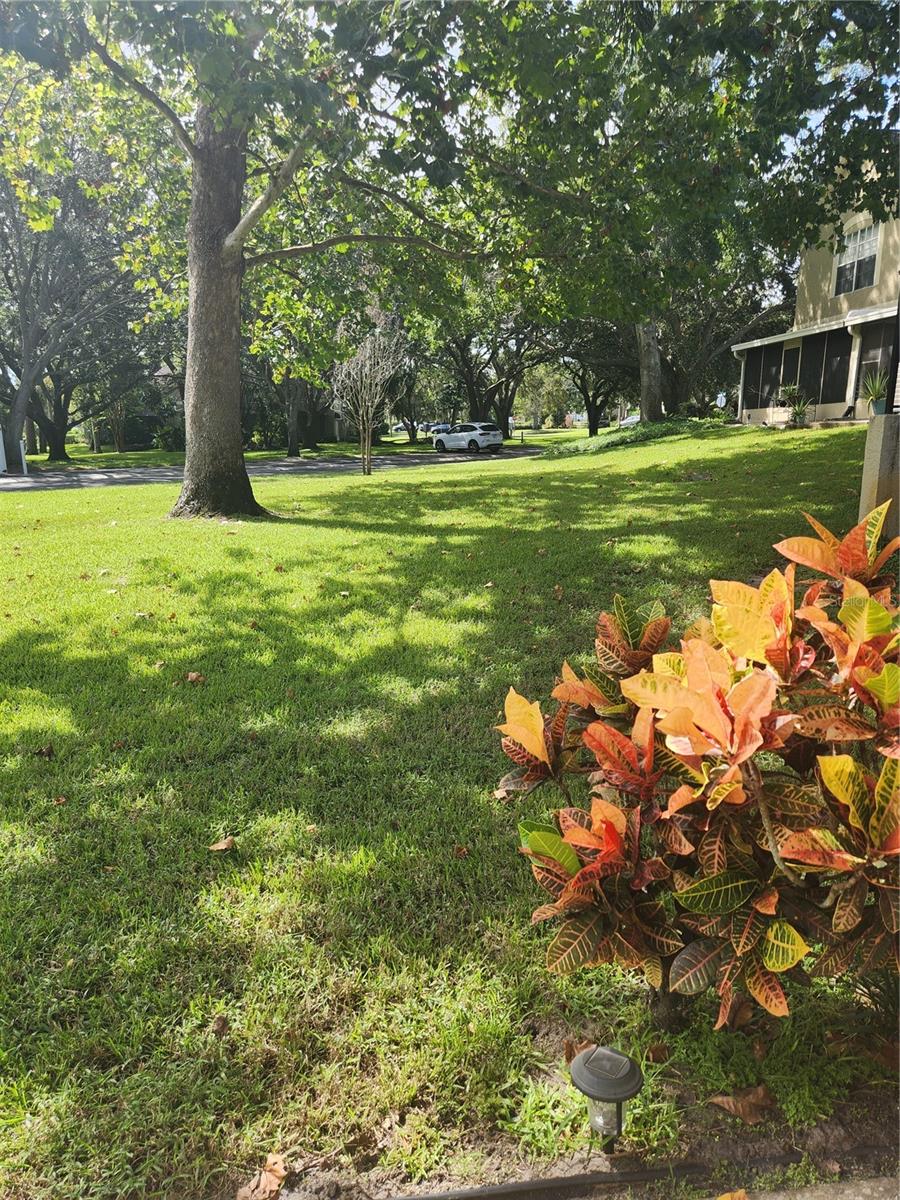 TOWNHOMES OF COUNTRYSIDE - Residential Lease