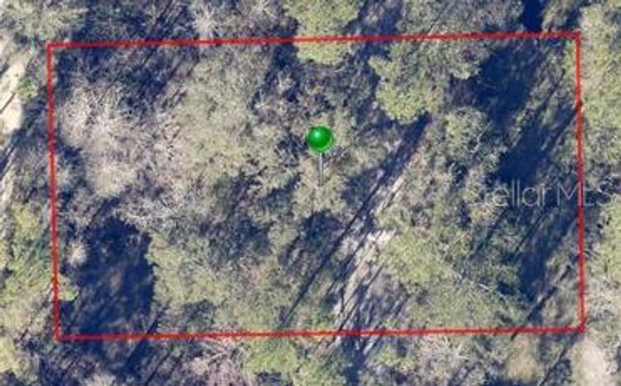 Build Your Dream Getaway on This Hidden Gem in DeLand!

Looking for peace, privacy, and potential? This .26-acre vacant lot tucked away in the heart of DeLand, Florida, offers a rare opportunity to invest in your future. Nestled just off the beaten path, this parcel provides a quiet, natural setting perfect for those seeking a serene lifestyle or long-term investment.

While not currently accessible via a developed road, the location offers unmatched seclusion—ideal for outdoor enthusiasts, off-grid visionaries, or those simply craving a break from the hustle and bustle. With no HOA, low property taxes, and plenty of trees for shade and privacy, you’ll have the freedom to create the space you've always imagined.