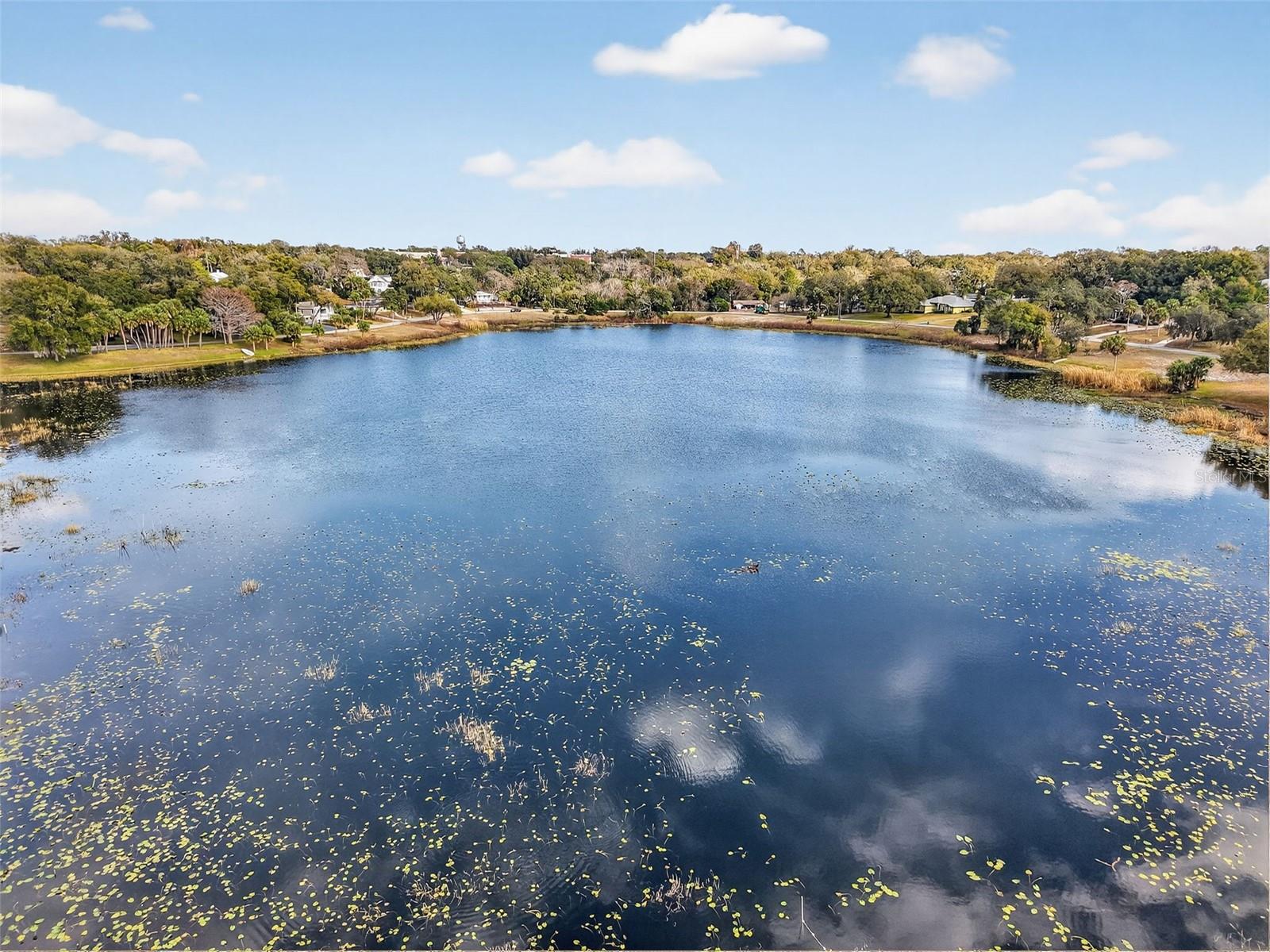 EUSTIS OCKLAWAHA SUB - Residential