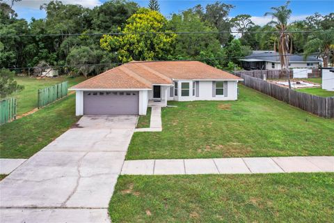 A home in MINNEOLA