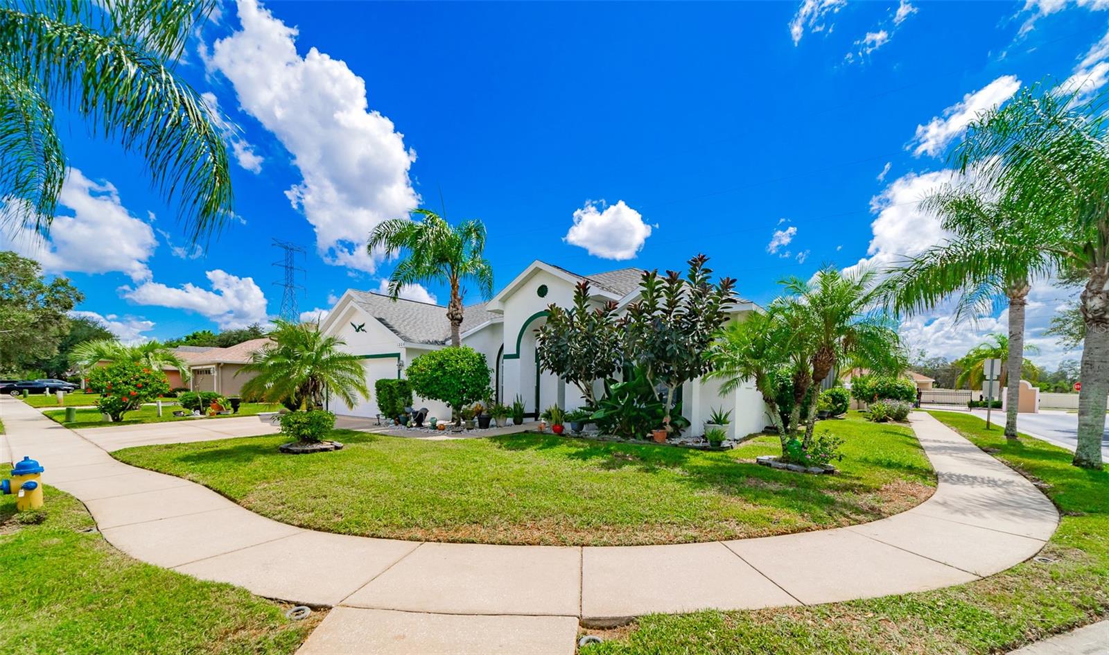 NORTH LAKE OF TARPON SPGS - PH 2 - Residential