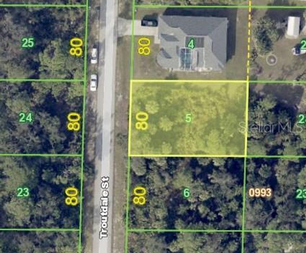 Photo of 72 Troutdale Street, Port Charlotte, FL 33954 (MLS # O6286527)