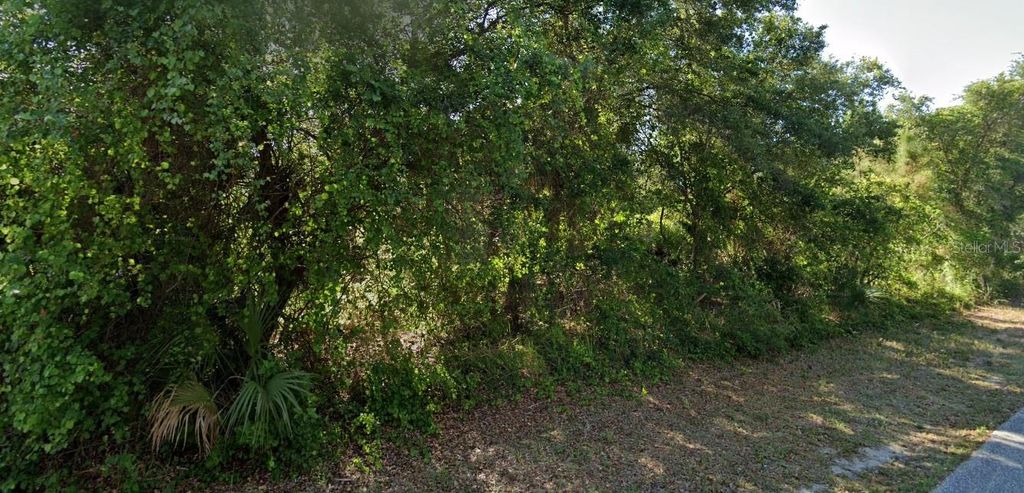 Photo of 72 Troutdale Street, Port Charlotte, FL 33954 (MLS # O6286527)