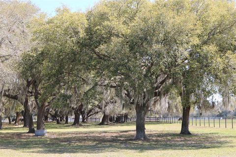 A home in LAKE WALES