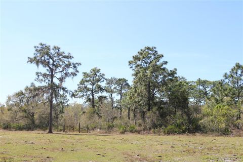 A home in LAKE WALES