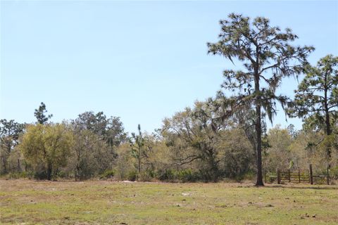 A home in LAKE WALES