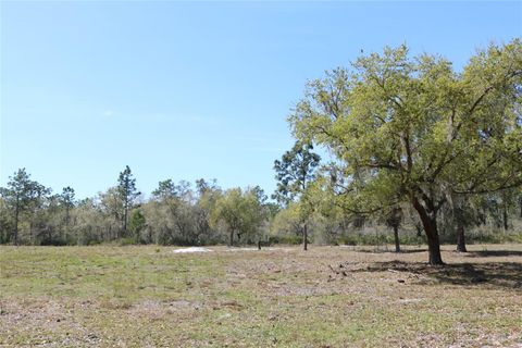 A home in LAKE WALES