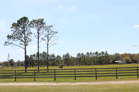 A home in LAKE WALES