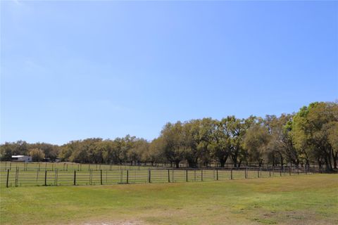 A home in LAKE WALES